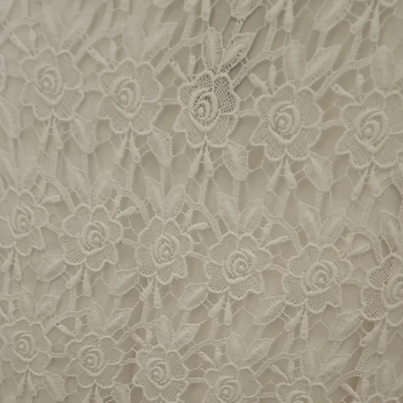 WHBM Elegant White Lace Dress - Picture 10 of 16